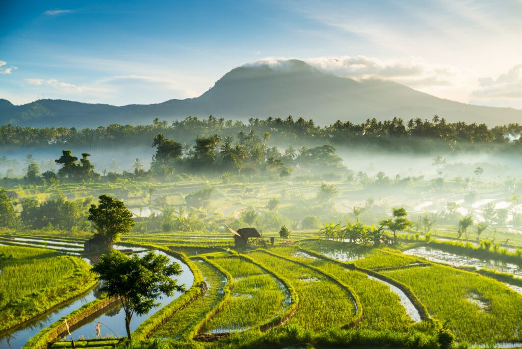 Bali landscape at golden hour
