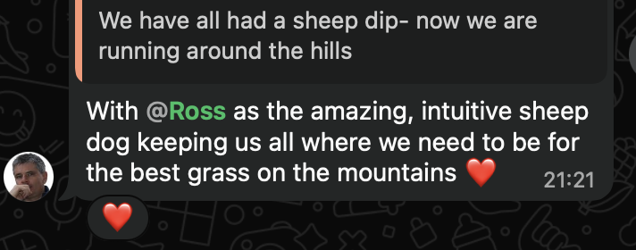 Feedback screenshot